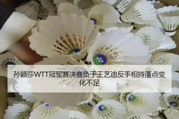 孙颖莎WTT冠军赛决赛负于王艺迪反手相持落点变化不足